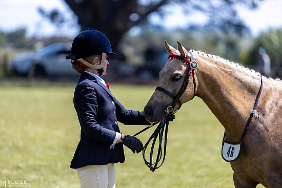 KINGSTON AGRICULTURAL SOCIETY 2025 - 156th ANNUAL AGRICULTURAL SHOW