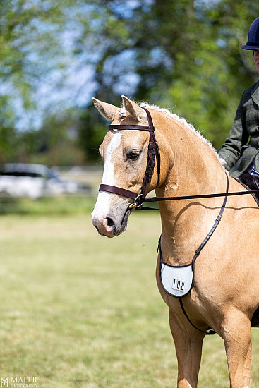  KINGSTON AGRICULTURAL SOCIETY 2025 - 156th ANNUAL AGRICULTURAL SHOW